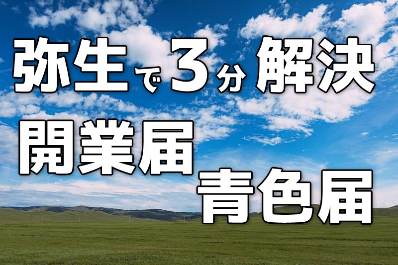 弥生で3分解決開業届青色届